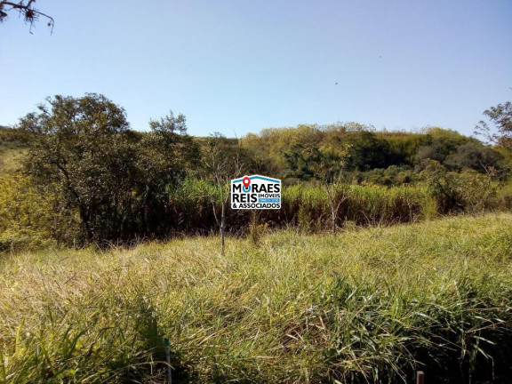 Imagem Fazenda à Venda, 222.000 m² em Vila Independência - Piracicaba