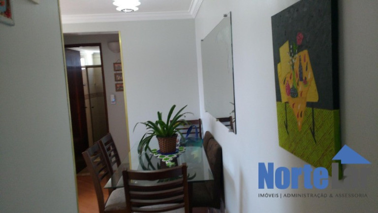 Imagem Apartamento com 2 Quartos à Venda, 50 m² em Jardim Tiro Ao Pombo - São Paulo