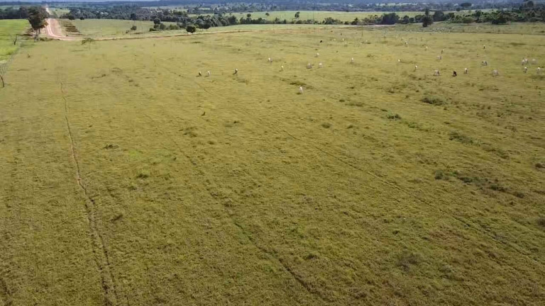 Imagem Chácara à Venda, em Tangará Da Serra Imagem Chácara à Venda, em Tangará Da Serra