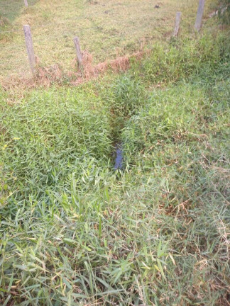 Imagem Chácara à Venda, 36 m² em Itarassú - Capela Do Alto