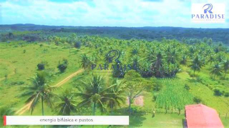 Imagem Fazenda à Venda, 2.790.700 m² em Zona Rural - Entre Rios Imagem Fazenda à Venda, 2.790.700 m² em Zona Rural - Entre Rios