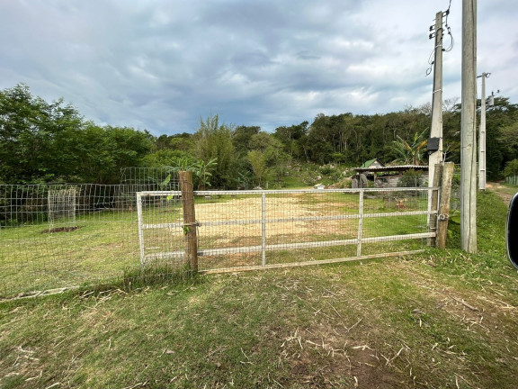 Imagem Terreno à Venda, 3.250 m² em Ribeirão - Paulo Lopes Imagem Terreno à Venda, 3.250 m² em Ribeirão - Paulo Lopes