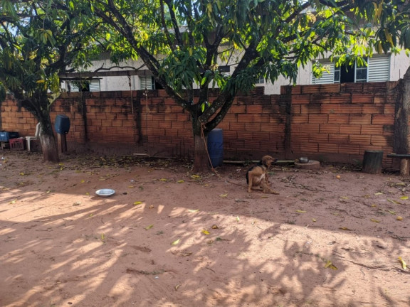 Imagem Casa com 5 Quartos à Venda, 206 m² em Jd. Paulista - Luís Antônio