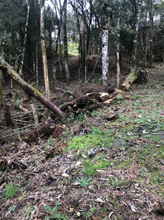 Imagem Terreno à Venda, 422 m² em Mato Queimado - Gramado Imagem Terreno à Venda, 422 m² em Mato Queimado - Gramado