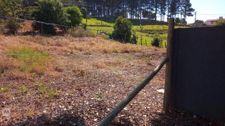 Imagem Terreno à Venda, 630 m² em Cidade Alta - Trombudo Central Imagem Terreno à Venda, 630 m² em Cidade Alta - Trombudo Central