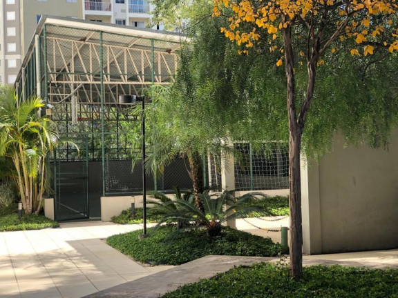 Imagem Imóvel com 3 Quartos à Venda, 69 m² em Morumbi - São Paulo Imagem Imóvel com 3 Quartos à Venda, 69 m² em Morumbi - São Paulo