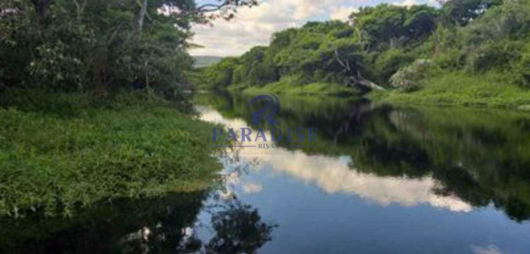 Imagem Fazenda à Venda, 2.350.000 m² em Zona Rural - Morro Do Chapéu Imagem Fazenda à Venda, 2.350.000 m² em Zona Rural - Morro Do Chapéu