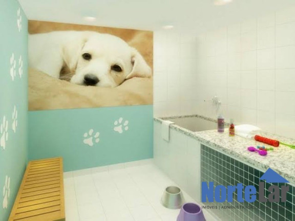 Imagem Apartamento com 2 Quartos à Venda, 50 m² em Vila Bruna - São Paulo