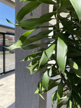 Imagem Casa com 2 Quartos à Venda, 49 m² em Maracanã - Praia Grande Imagem Casa com 2 Quartos à Venda, 49 m² em Maracanã - Praia Grande