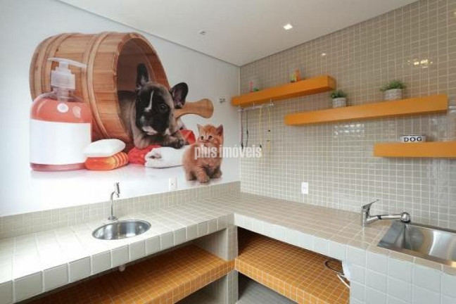 Imagem Apartamento com 3 Quartos à Venda, 59 m² em Vila Santana - São Paulo Imagem Apartamento com 3 Quartos à Venda, 59 m² em Vila Santana - São Paulo
