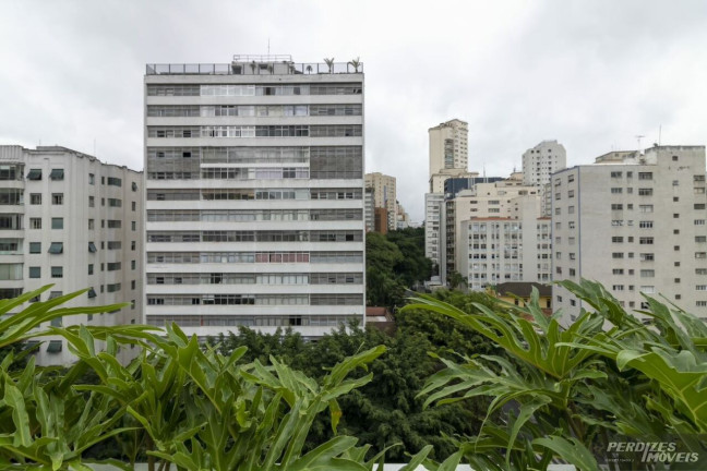 Imagem Apartamento com 3 Quartos à Venda, 239 m² em Higienópolis - São Paulo Imagem Apartamento com 3 Quartos à Venda, 239 m² em Higienópolis - São Paulo