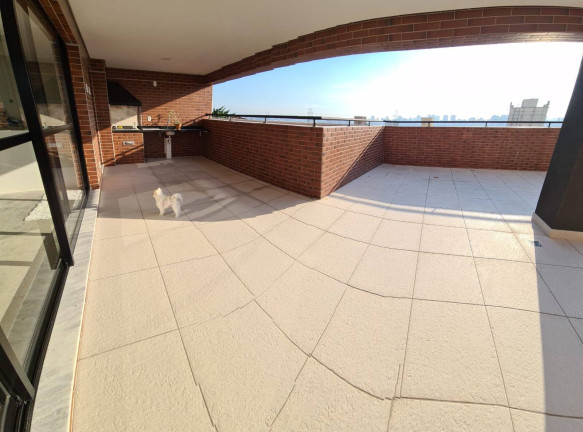 Imagem Apartamento com 3 Quartos à Venda, 157 m² em Parque Da Mooca - São Paulo