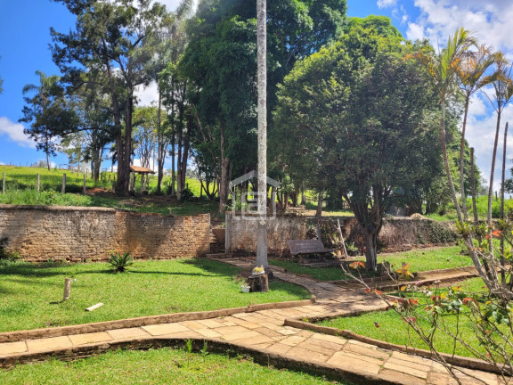 Imagem Imóvel com 4 Quartos à Venda, 8.200 m² em Comunidade Ribeirão Pequeno - Divisa Nova