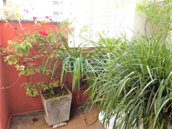 Imagem Apartamento com 3 Quartos à Venda, 425 m² em Moema - São Paulo