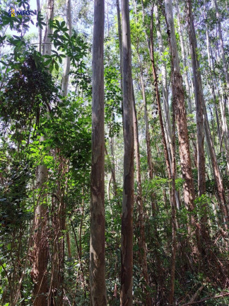 Imagem Chácara à Venda, em Centro - Bragança Paulista Imagem Chácara à Venda, em Centro - Bragança Paulista