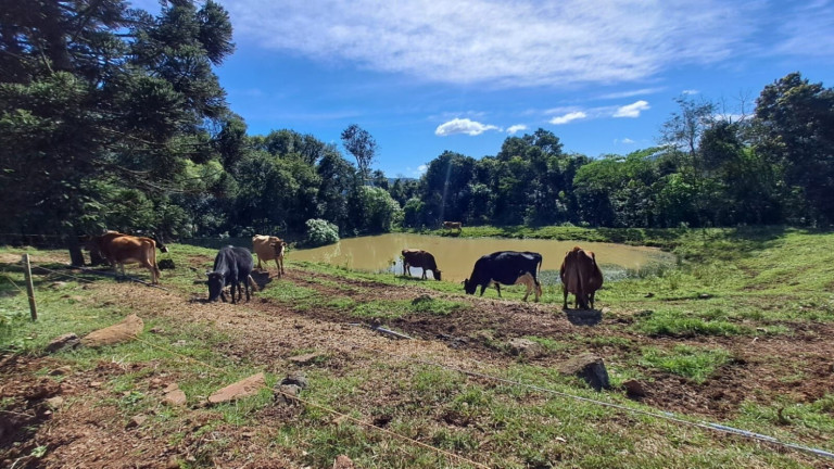 Chácara com 4 Quartos à Venda, 365.000 m² em Centro - Vale Do Sol