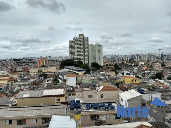 Imagem Apartamento com 2 Quartos à Venda, 54 m² em Casa Verde Alta - São Paulo