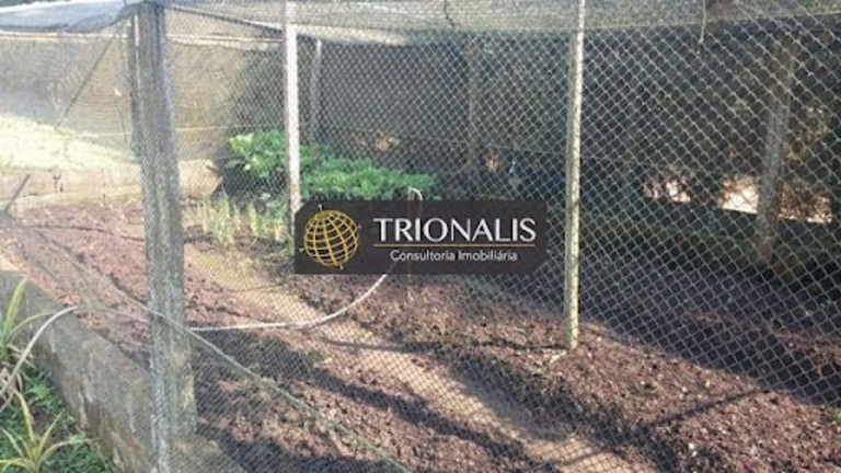 Imagem Chácara com 2 Quartos à Venda, 125 m² em Serra Negra - Bom Jesus Dos Perdões