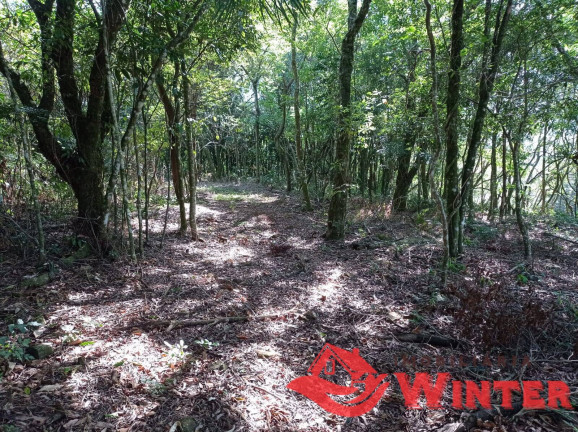 Imagem Chácara à Venda, 28 m² em Morro Gaúcho - Vale Real Imagem Chácara à Venda, 28 m² em Morro Gaúcho - Vale Real