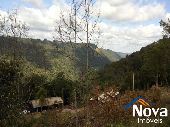 Imagem Imóvel à Venda, 429 m² em São Jacó - Nova Petrópolis Imagem Imóvel à Venda, 429 m² em São Jacó - Nova Petrópolis