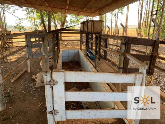 Imagem Chácara com 2 Quartos à Venda, 294.000 m² em Zona Rural - Bela Vista De Goiás Imagem Chácara com 2 Quartos à Venda, 294.000 m² em Zona Rural - Bela Vista De Goiás