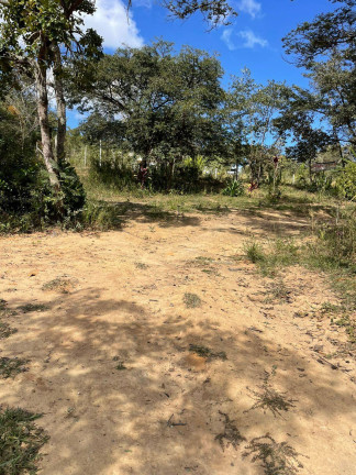 Imagem Chácara com 2 Quartos à Venda, 7.800 m² em Quintas Da Capela Nova - Itatiaiuçu