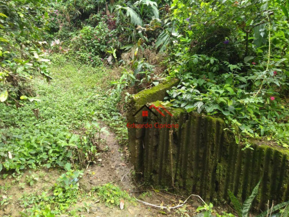 Imagem Sobrado com 5 Quartos para Alugar, 191 m² em Massaguaçu - Caraguatatuba Imagem Sobrado com 5 Quartos para Alugar, 191 m² em Massaguaçu - Caraguatatuba