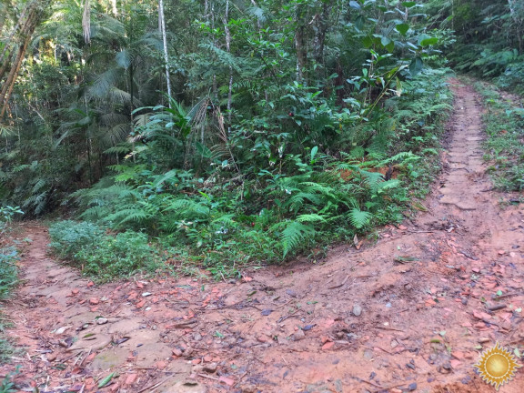 Imagem Terreno à Venda, 1.169 m² em Praia Brava - Ubatuba Imagem Terreno à Venda, 1.169 m² em Praia Brava - Ubatuba
