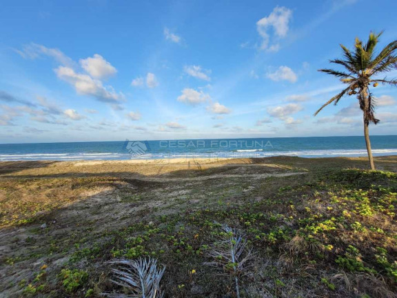 Imagem Terreno à Venda, 1.440 m² em Muriu - Ceará-mirim Imagem Terreno à Venda, 1.440 m² em Muriu - Ceará-mirim