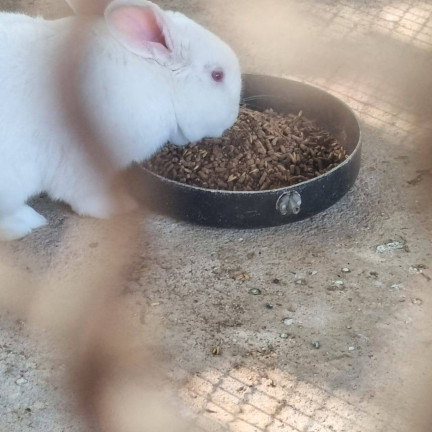 Terreno em Condomínio à Venda, 1.003 m² em Tanque - Atibaia
