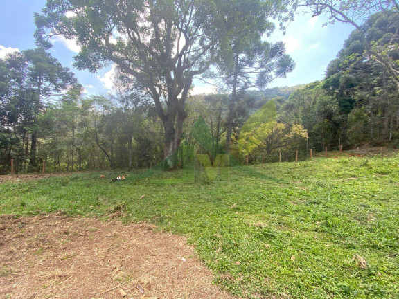 Imagem Chácara com 4 Quartos à Venda, 60.000 m² em Piracaia - Piracaia Imagem Chácara com 4 Quartos à Venda, 60.000 m² em Piracaia - Piracaia