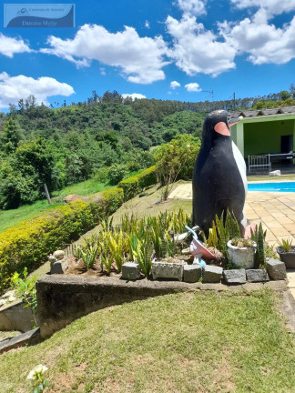 Imagem Chácara com 3 Quartos à Venda, 11.000 m² em Mãe Dos Homens - Bragança Paulista