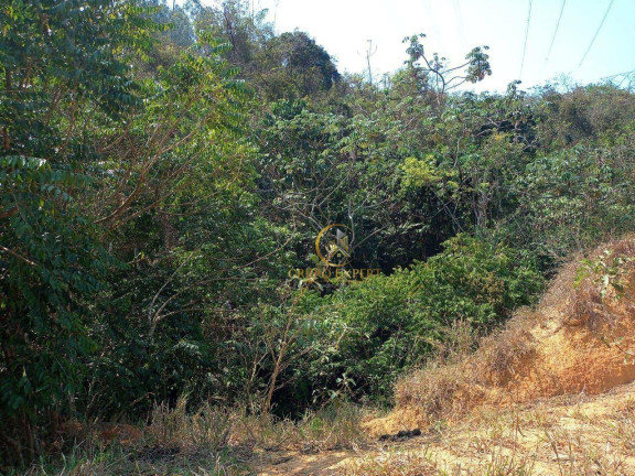 Imagem Fazenda à Venda, 3.388.000 m² em Centro - Areias Imagem Fazenda à Venda, 3.388.000 m² em Centro - Areias