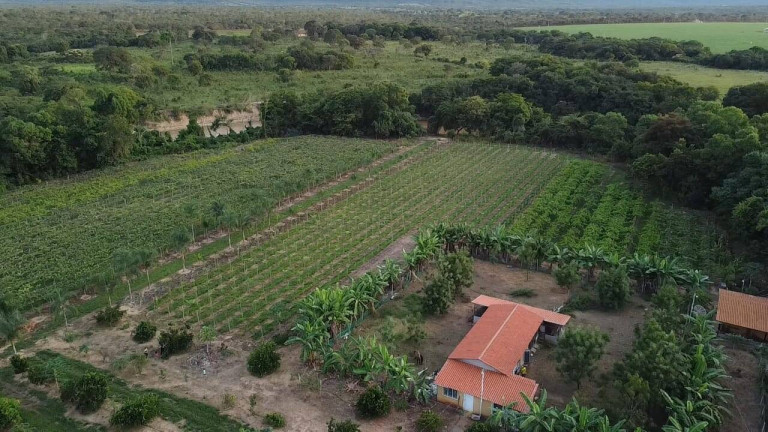 Imagem Chácara com 3 Quartos à Venda, 330.000 m² em Centro - Buritis