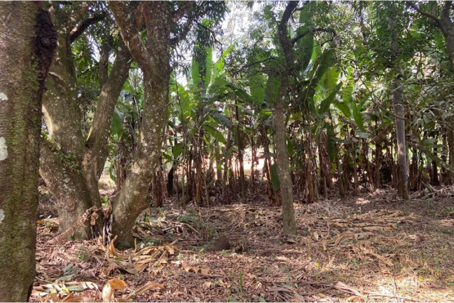 Imagem Imóvel com 2 Quartos à Venda, 2.733 m² em Quintas De Pirapora I - Salto De Pirapora Imagem Imóvel com 2 Quartos à Venda, 2.733 m² em Quintas De Pirapora I - Salto De Pirapora
