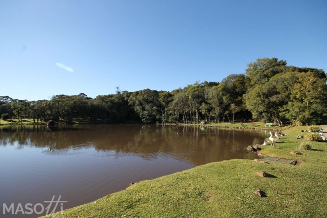 Imagem Terreno à Venda, 1.435 m² em Centro - Gramado Imagem Terreno à Venda, 1.435 m² em Centro - Gramado
