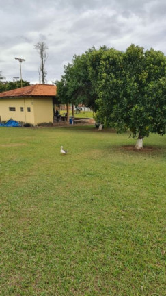 Imagem Chácara com 4 Quartos à Venda, 40.000 m² em Sousas - Campinas Imagem Chácara com 4 Quartos à Venda, 40.000 m² em Sousas - Campinas