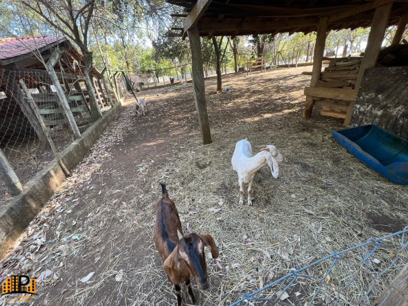 Imagem Imóvel com 3 Quartos à Venda, 600 m² em Altos De Itu - Itu