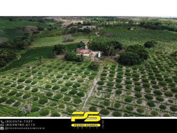 Imagem Imóvel com 1 Quarto à Venda, 60.000 m² em Conde - Conde