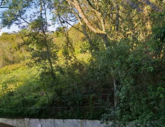 Imagem Imóvel com 1 Quarto à Venda, 40 m² em Vila Nova - Porto Alegre