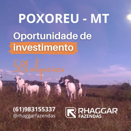 Imagem Fazenda à Venda, 581 m² em Getulio Vargas - Guiratinga Imagem Fazenda à Venda, 581 m² em Getulio Vargas - Guiratinga