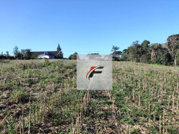 Imagem Terreno à Venda, 15.524 m² em Ganchinho - Curitiba Imagem Terreno à Venda, 15.524 m² em Ganchinho - Curitiba