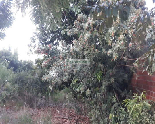 Imagem Terreno à Venda, 250 m² em Jardim Europa - Jaguariúna Imagem Terreno à Venda, 250 m² em Jardim Europa - Jaguariúna