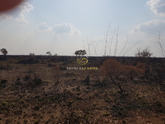 Imagem Imóvel com 3 Quartos à Venda, 40.000 m² em Capelinha - Conceição Do Araguaia Imagem Imóvel com 3 Quartos à Venda, 40.000 m² em Capelinha - Conceição Do Araguaia