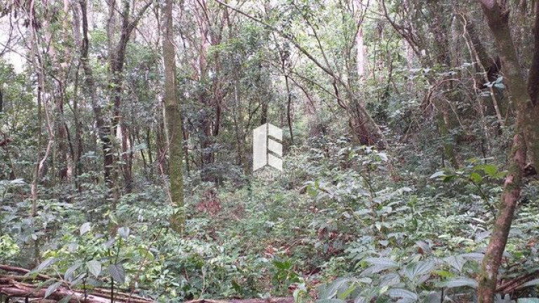 Imagem Imóvel à Venda, 28.000 m² em Campestre Do Menino Deus - Santa Maria Imagem Imóvel à Venda, 28.000 m² em Campestre Do Menino Deus - Santa Maria
