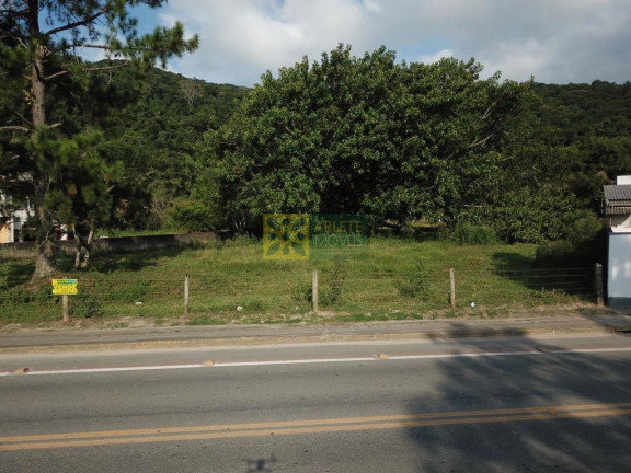 Imagem Terreno à Venda, 4.500 m² em Alto Perequê - Porto Belo Imagem Terreno à Venda, 4.500 m² em Alto Perequê - Porto Belo