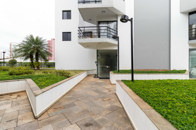 Imagem Imóvel com 3 Quartos à Venda, 101 m² em Vila Mascote - São Paulo Imagem Imóvel com 3 Quartos à Venda, 101 m² em Vila Mascote - São Paulo