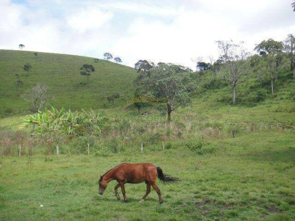 Imagem Fazenda à Venda, 155 m² em São Miguel - Lorena