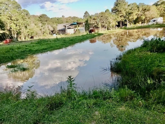 Fazenda à Venda,  em Zona Rural (bugre) - Balsa Nova
