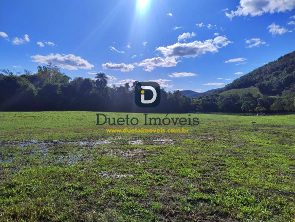 Imagem Chácara com 3 Quartos à Venda,  em São Pedro Do Sul